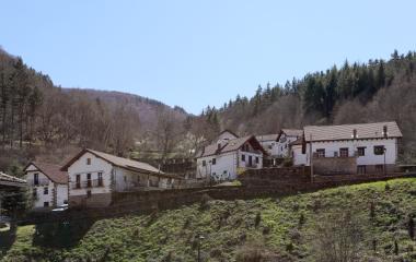 Casas de piedra blanca y tejado oscuro en Izalzu, rodeados de bosque mixto y prado verde en valle pirenaico.