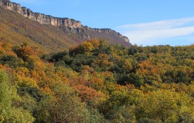 Bosque en otoño con acantilados rocosos al fondo en Sierra de Leyre, Prepirineo de Navarra.