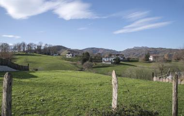 Prado verde en los alrededores de Bera.
