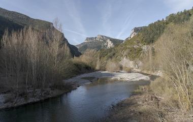Río Esca en Burgui con álamos desnudos, cortados calizos y bosque pirenaico en primavera temprana.