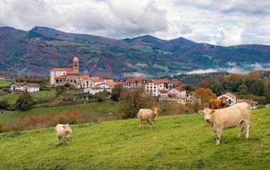 Ziga - valle de Baztan