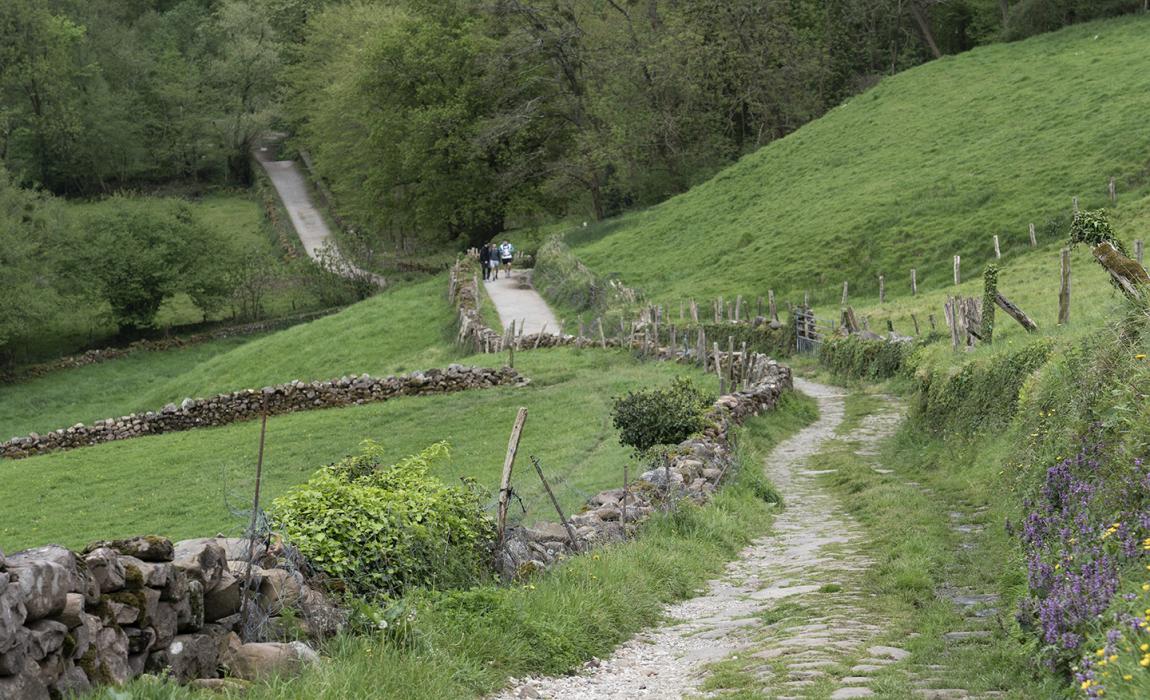 Sendero rural con muros de piedra, prados verdes y bosque en Cascada de Xorroxin, Baztan-Bidasoa.