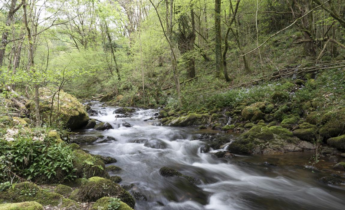 Río con cascadas y bosque frondoso en Cascada de Xorroxin, rodeado de vegetación y rocas cubiertas de musgo.